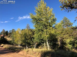 294 Southgate Rd, Florissant, CO 80816