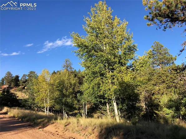 294 Southgate Rd, Florissant, CO 80816