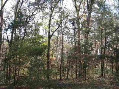 Johnny Rd, Lamont, FL, 32336