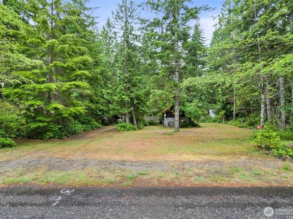 120 King Drive, Brinnon, WA 98320