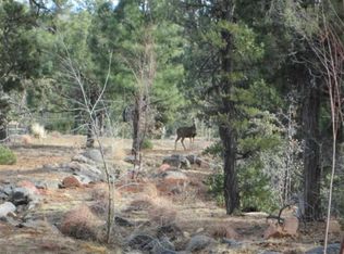 1211 S Wild Rose Ln, Show Low, AZ 85901