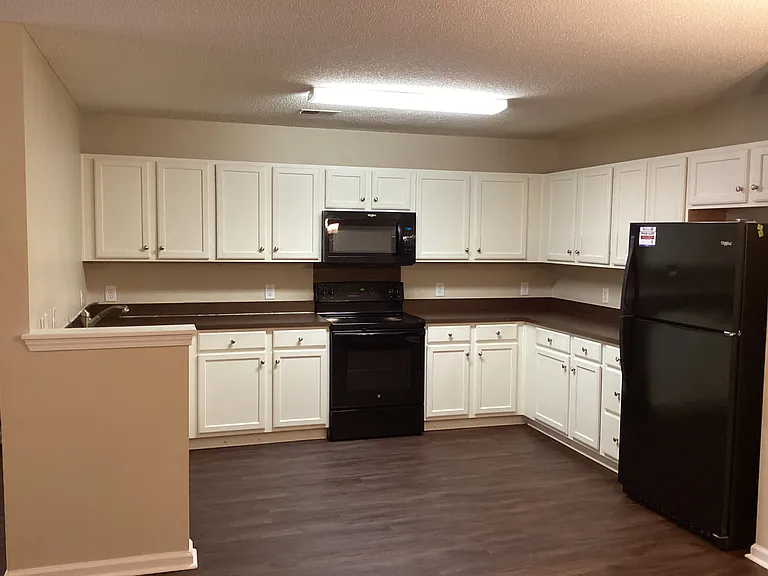 237 Maypop Dr — Photo 2