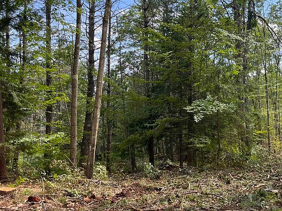 3rd image of Columbus Jordan Road