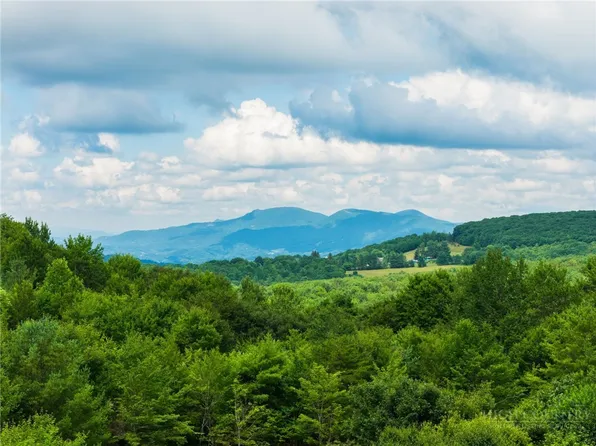 102 Spring Branch Road #A, Beech Mountain, NC 28604