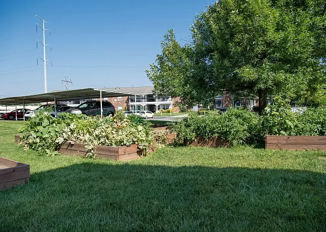 Fountain Lake Villas — Photo 22