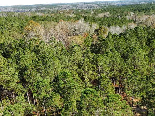 1 Lee Road 333, Salem, AL 36874