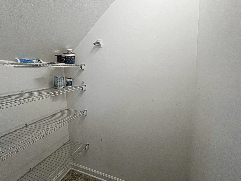 125 Swan Haven Ln — Photo 9