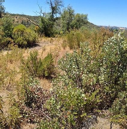 5th image of 5370 Hawver Rd