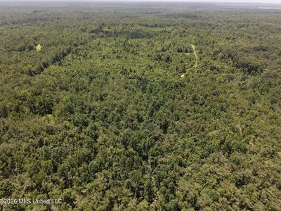 Holly Grove Meeks Rd, Cruger, MS, 38924