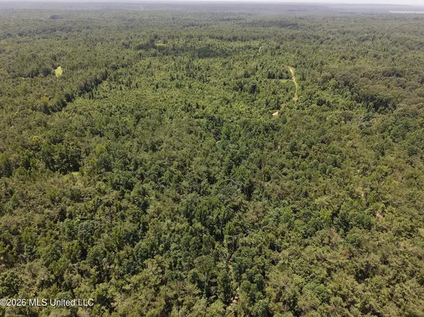 Holly Grove Meeks Rd, Cruger, MS 38924