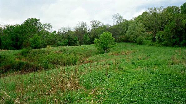 2nd image of 908 Bramlett Kemp Rd