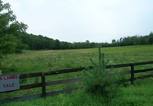 2nd image of 11 Fence Rd