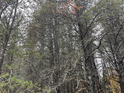 LOT 40 Memory Ln, Roscommon, MI, 48653