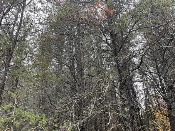 LOT 40 Memory Ln, Roscommon, MI 48653