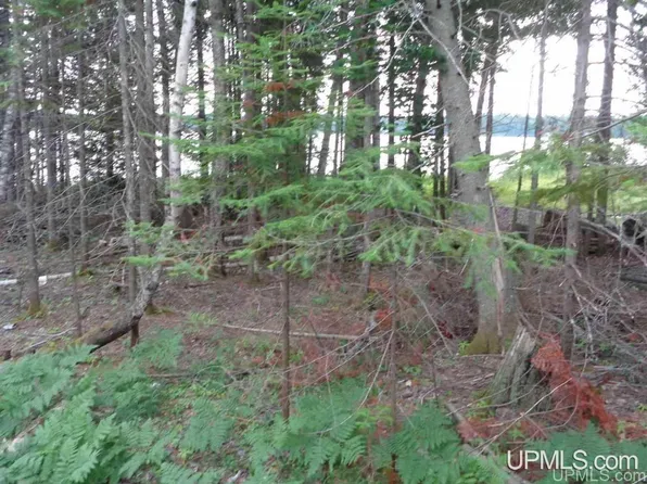 Tall Timber Trl Unit 2, Lake Linden, MI 49945