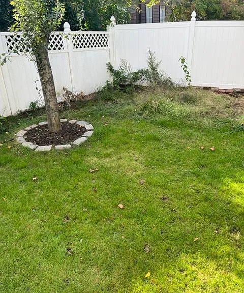 Poplar St — Photo 15