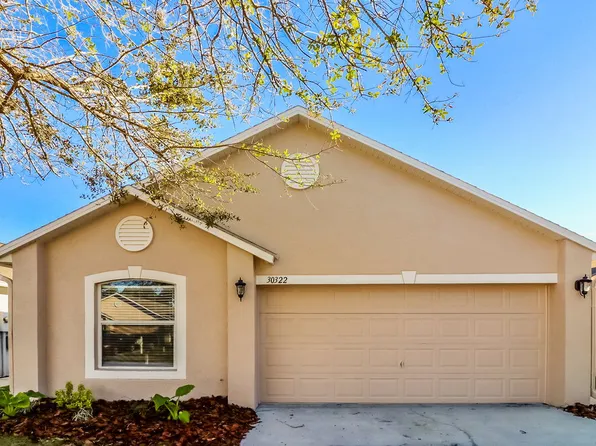 30322 Pongo Way, Wesley Chapel, FL 33545