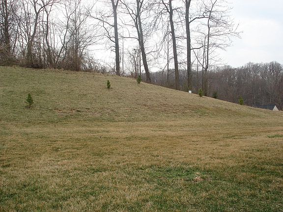 Backyard is know for it's magnificent horizon view.