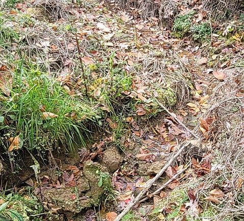 4th image of 4 Bear Hollow Way Lot 4