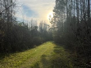 0 Parker Rd, Sylvania, GA 30467