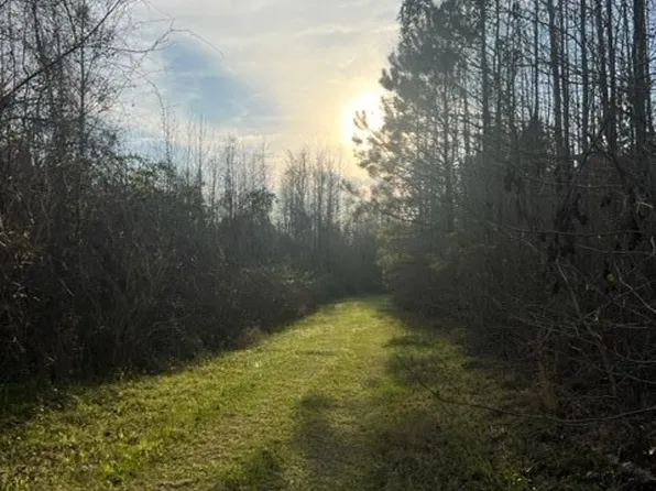 0 Parker Road, Sylvania, GA 30467