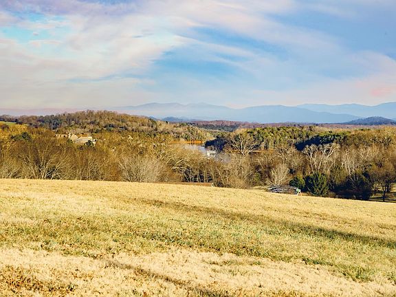 Image 5: DSC_4448-Edit