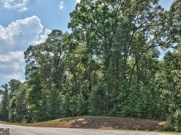 1190 Waterstone Dr, Madison, GA 30650