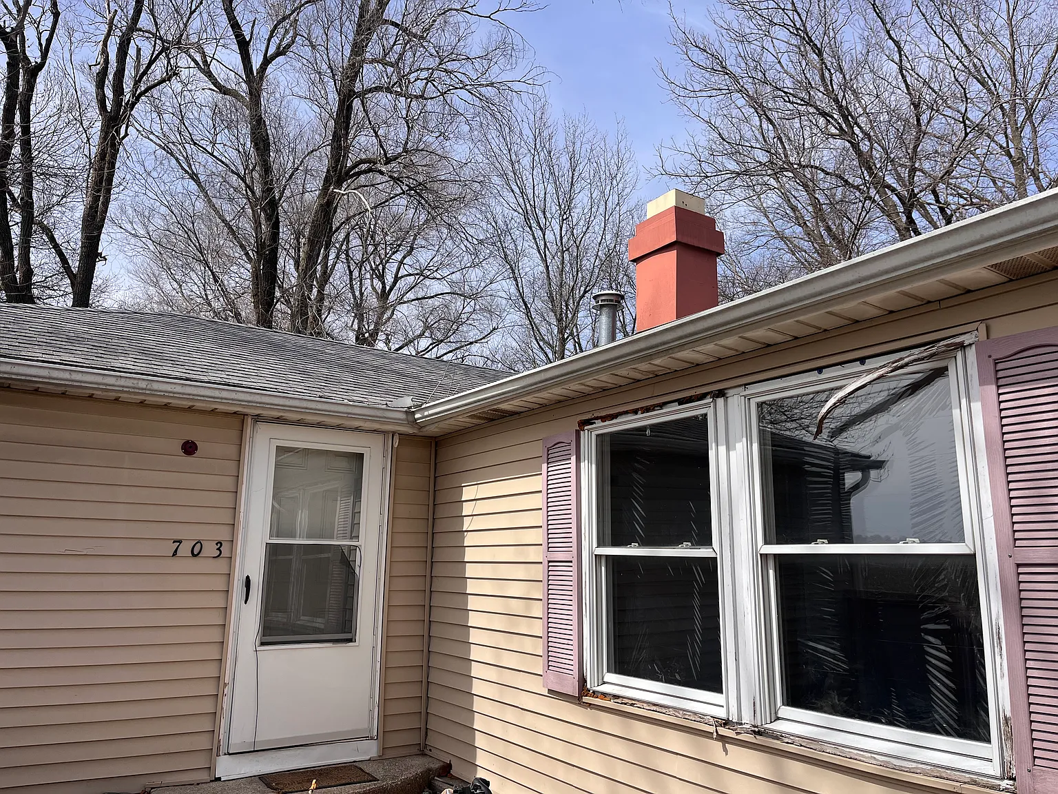 703 W William St — Photo 3