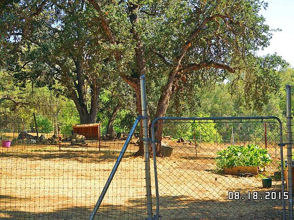 5th image of 4741 Bullard Dr