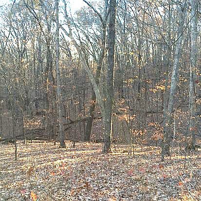 1st image of 10414 Apke Ln