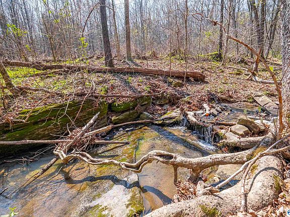 3rd image of Duck Springs Rd