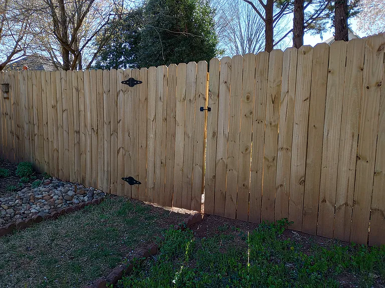Fenced back yard