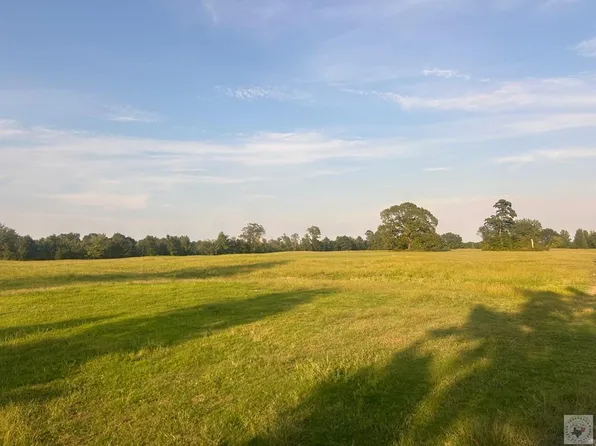 Private Road 1108 Tract #6, Fouke, AR 71837