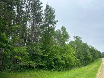 County Road 16, Cushing, MN, 56443