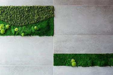 Rented by Fiddler Realty