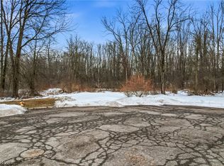 Cheeks Ct, Cortland, OH 44410