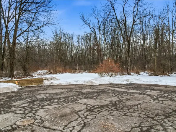 Cheeks Ct, Cortland, OH 44410