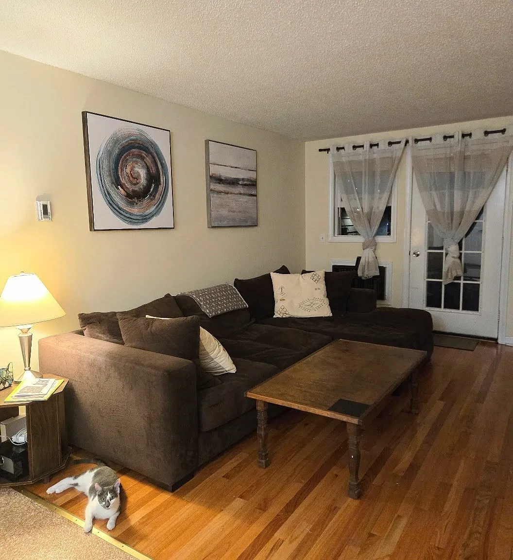 2 bed, 1.0 bath, 903 sqft, $2,000 — Photo 1