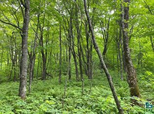 Xx Foothill Blvd, Lutsen, MN 55612