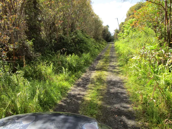 Keola Pl Lot 221, Volcano, HI 96785