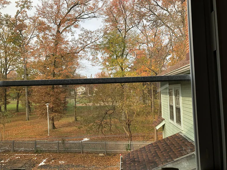 Park view next door