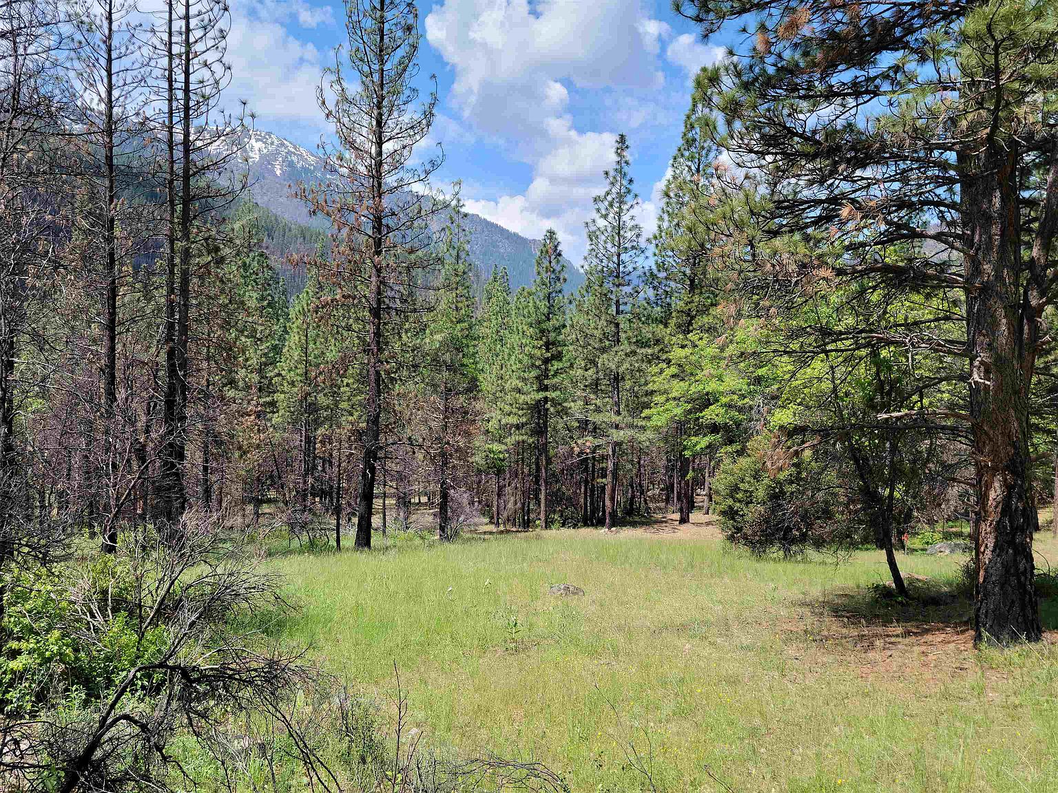 Marlene Boggs - California Outdoor Properties