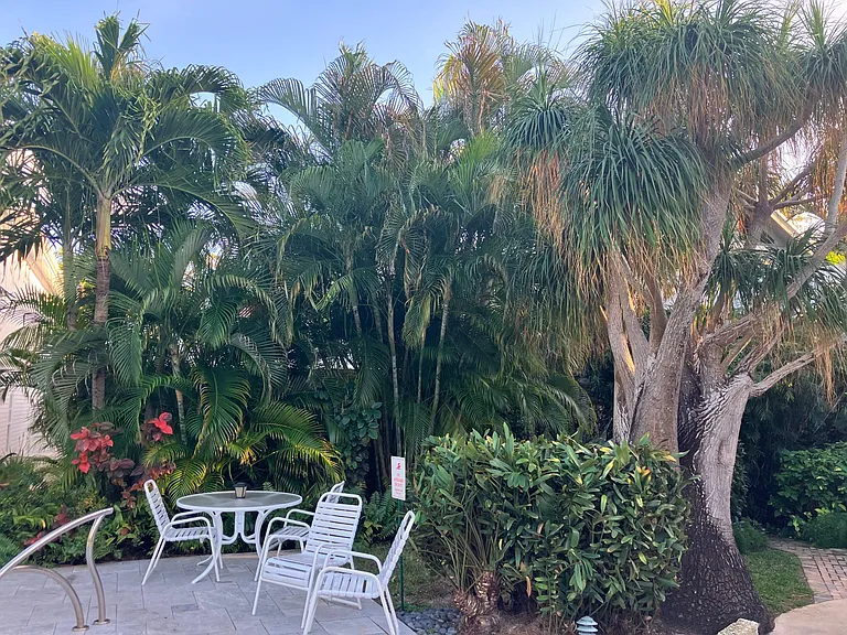 courtyard