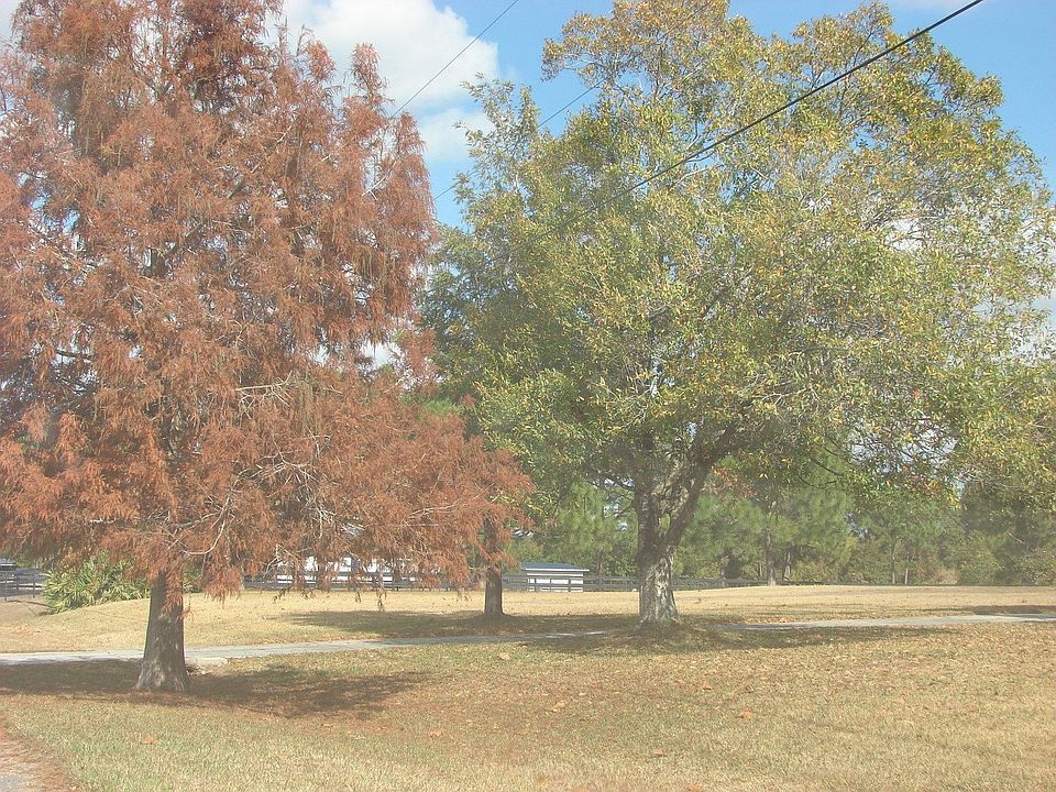 Beautiful mature yard