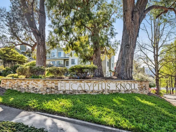 111 Eucalyptus Knoll Street, Mill Valley, CA 94941