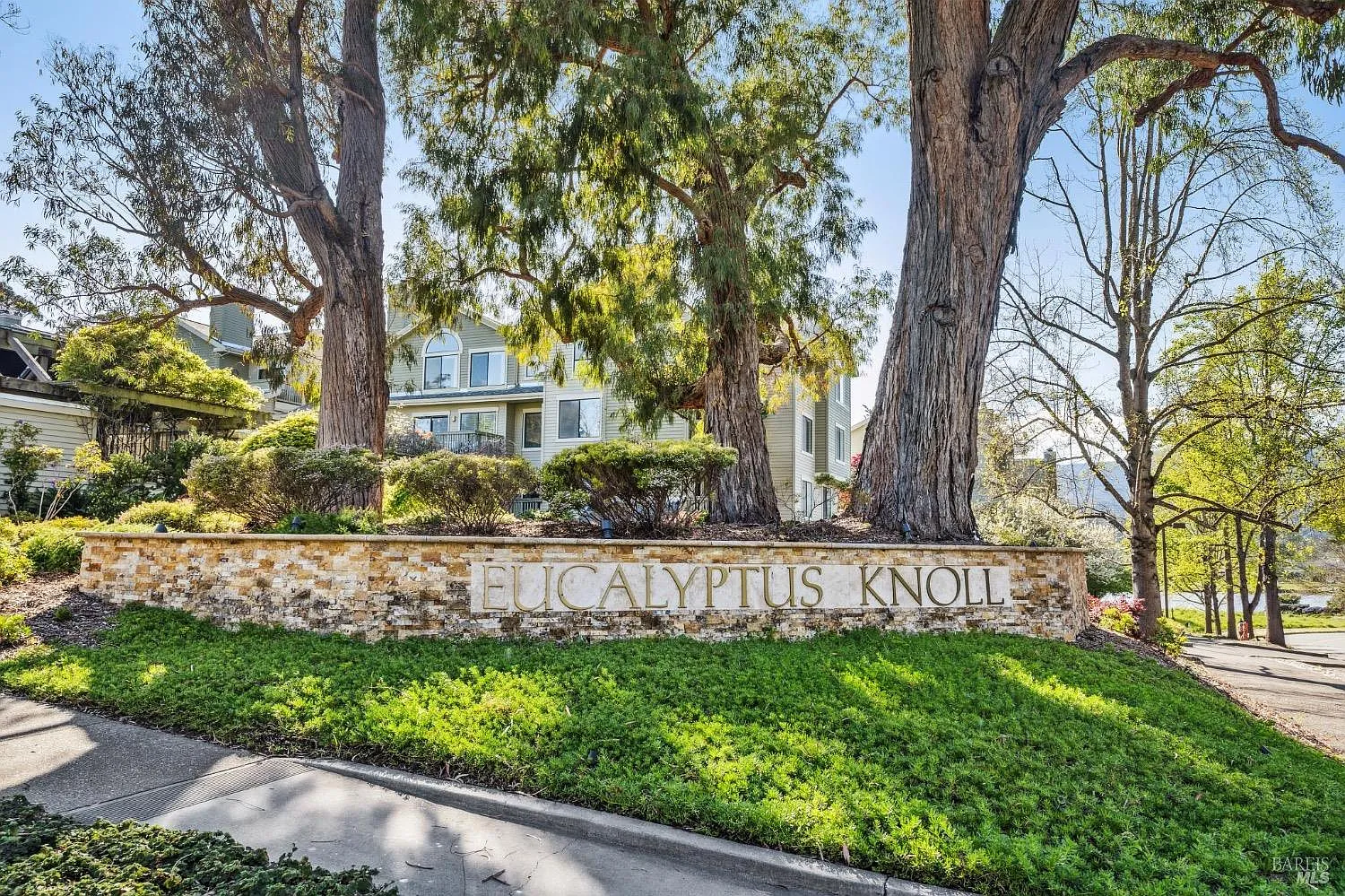 111 Eucalyptus Knoll Street photo 1