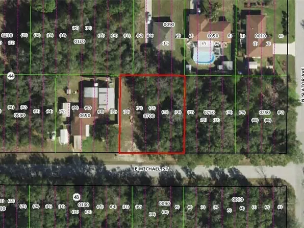 3125 E Michael St, Inverness, FL 34453