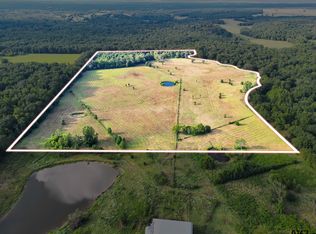0 County Road 4915, Ben Wheeler, TX 75754