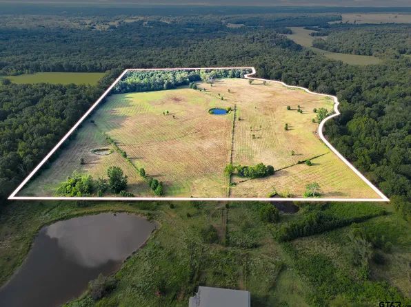 0 County Road 4915, Ben Wheeler, TX 75754