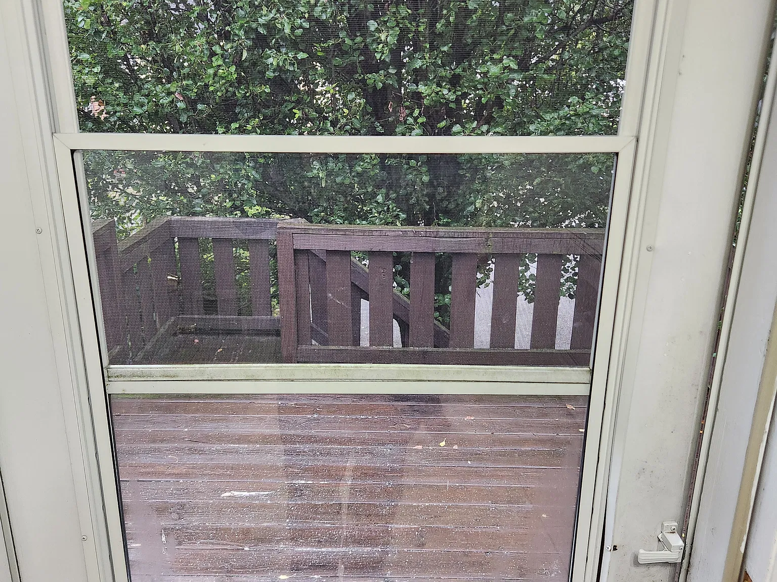 3 bed, 800 sqft, $1,100 — Photo 4